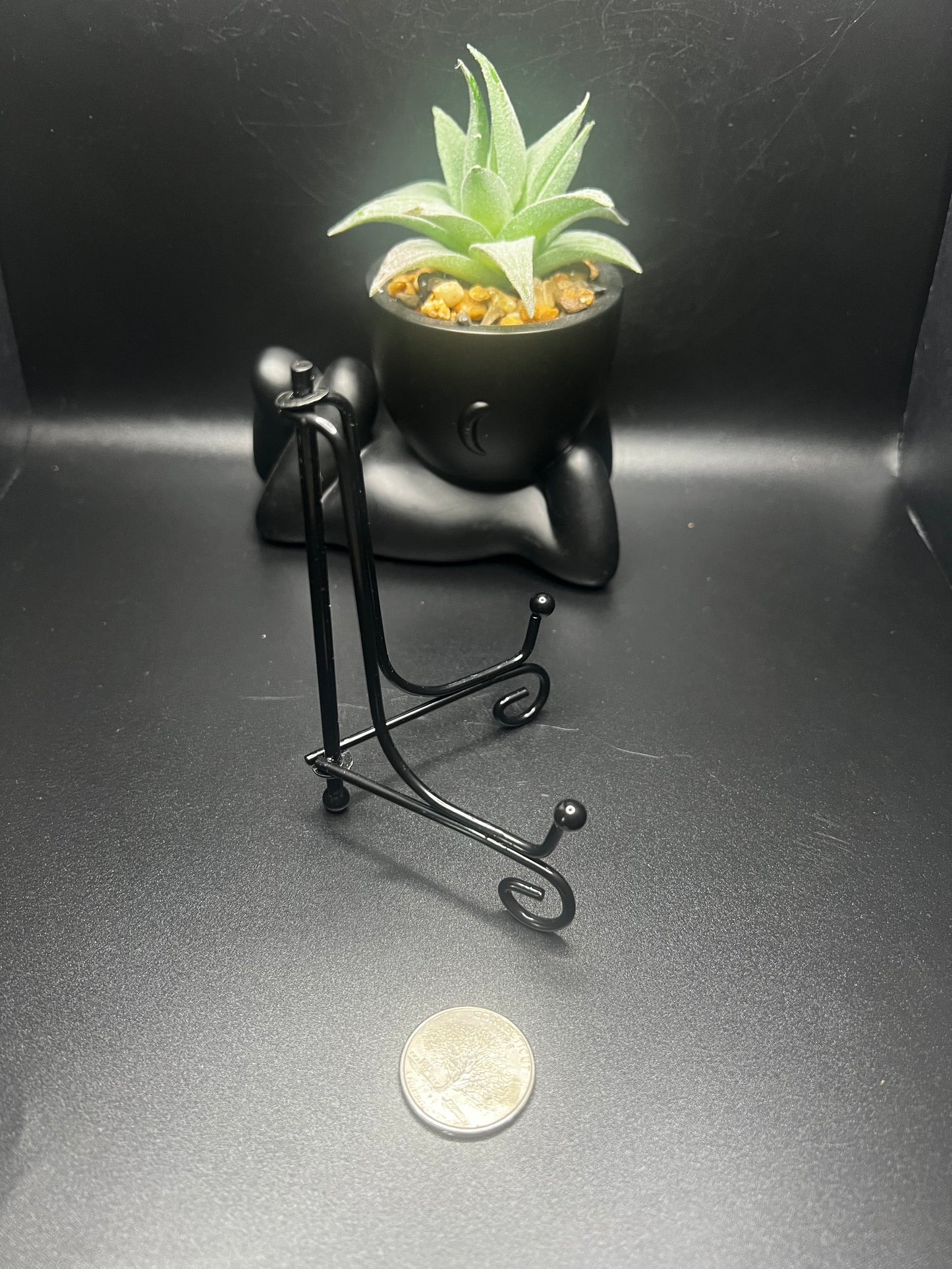 Specimen Stand