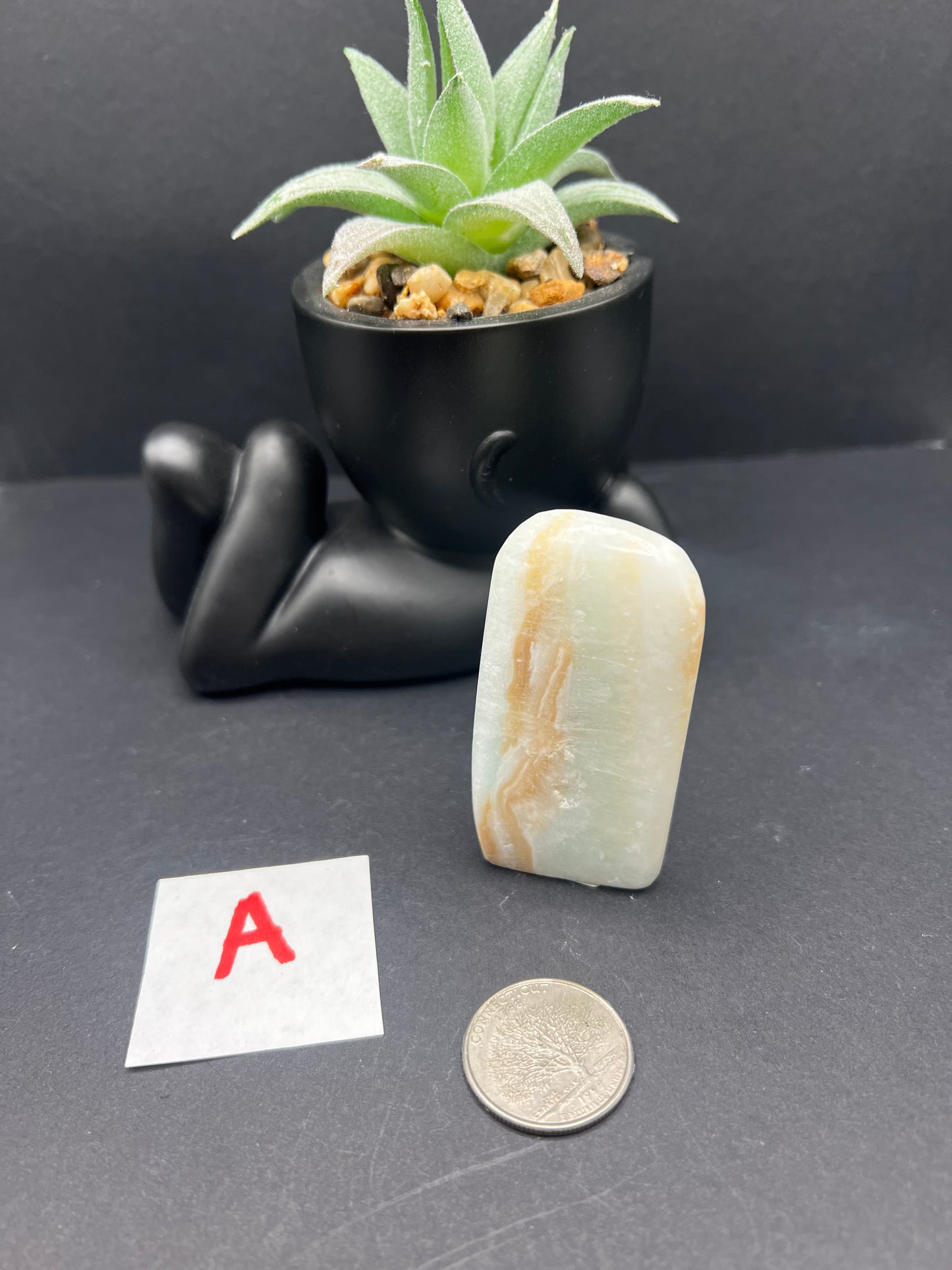 Caribbean Calcite Freeforms