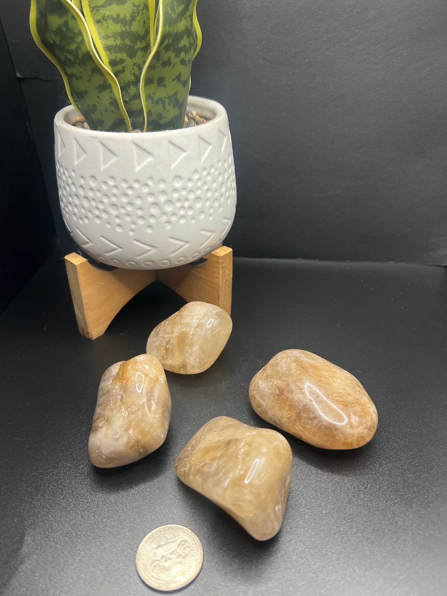 Citrine Palm Stone
