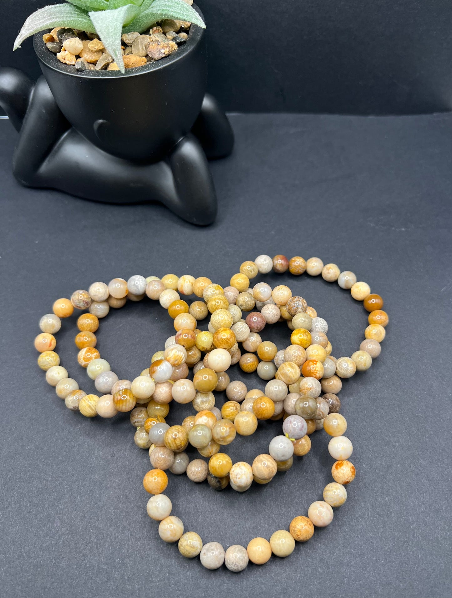 Fossil Coral Bracelet