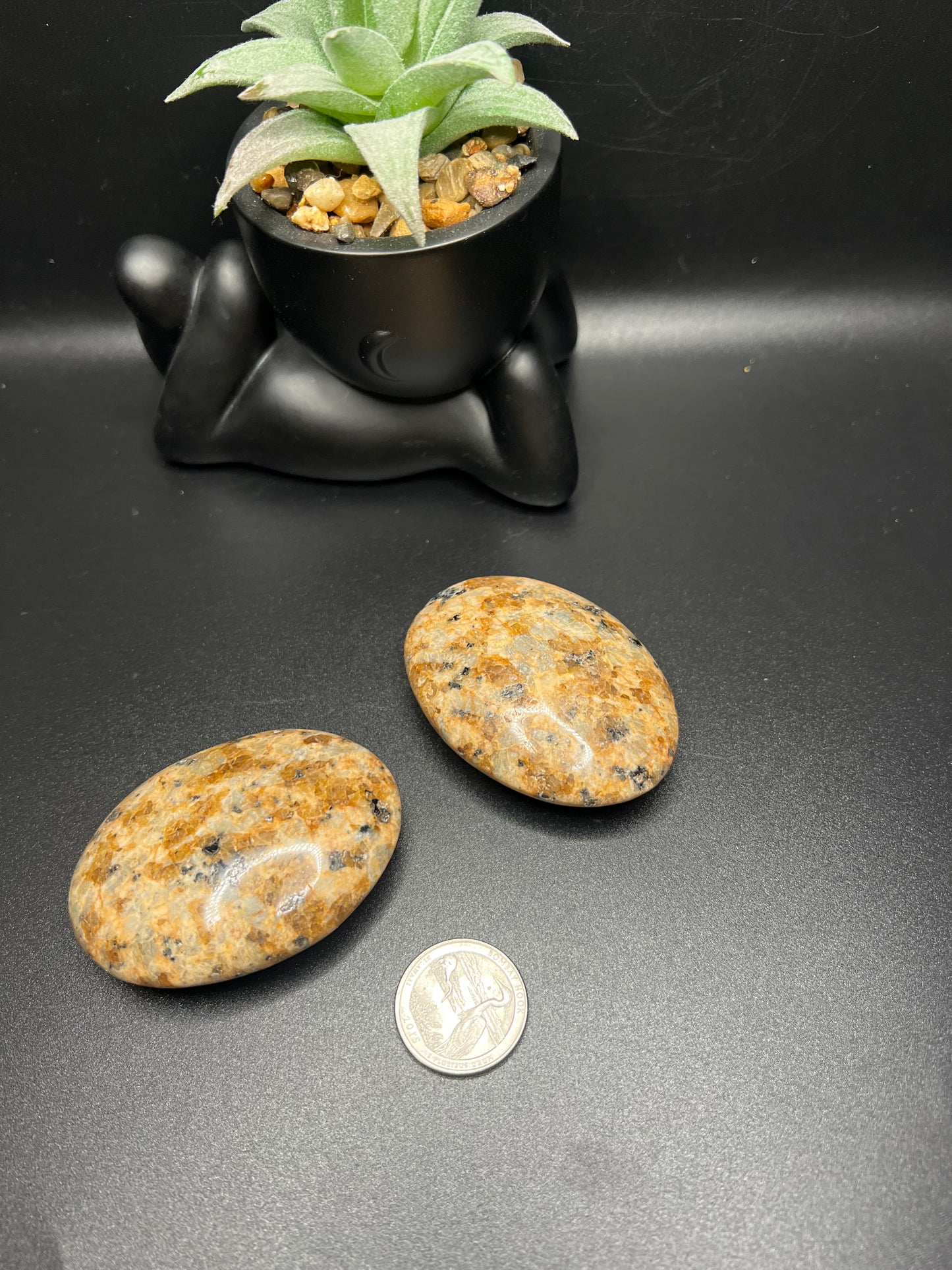 Kiwi Jasper Palm Stones