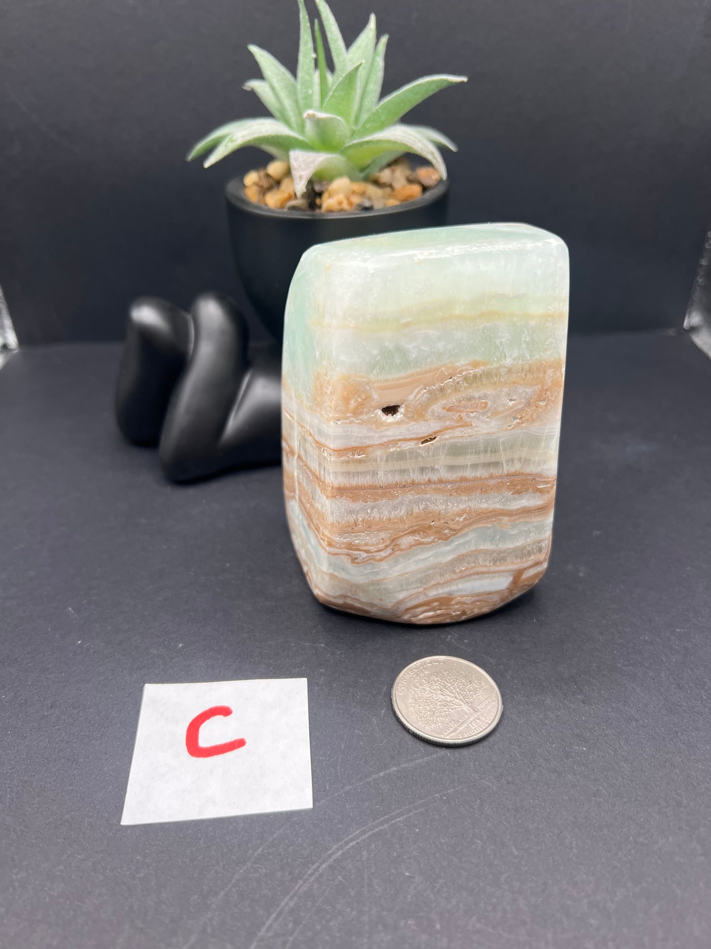 Caribbean Calcite Freeforms
