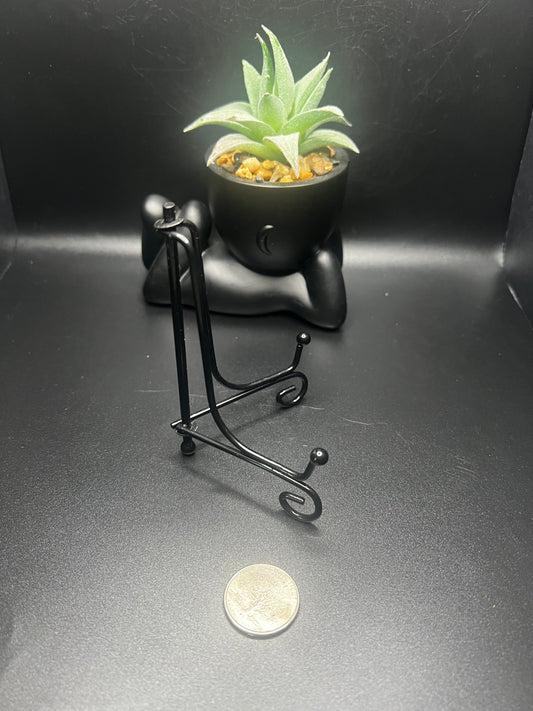 Specimen Stand