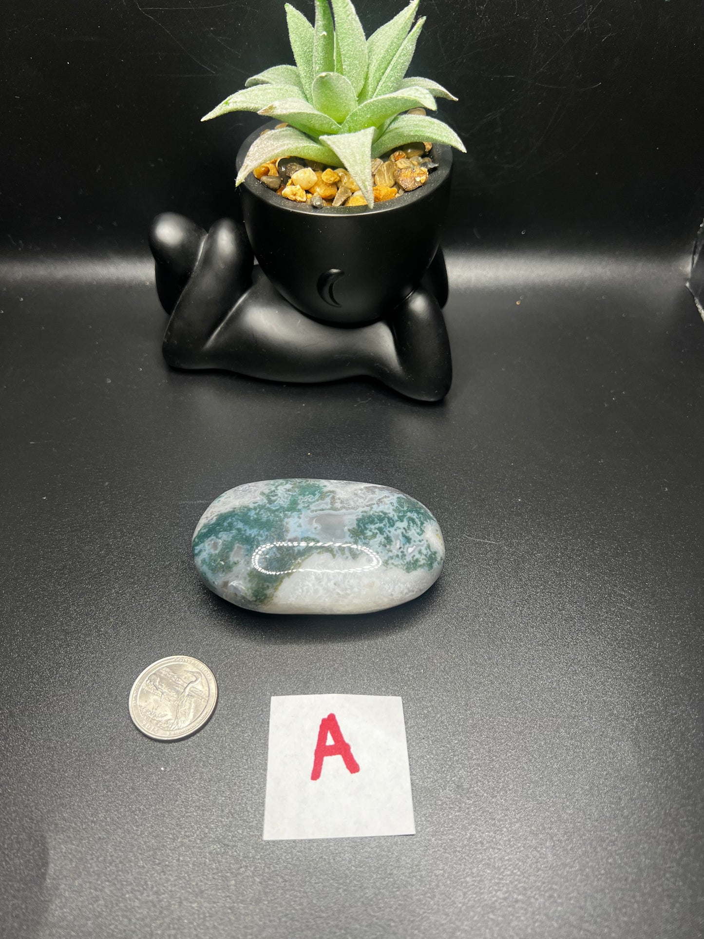 Moss Agate Palm Stones