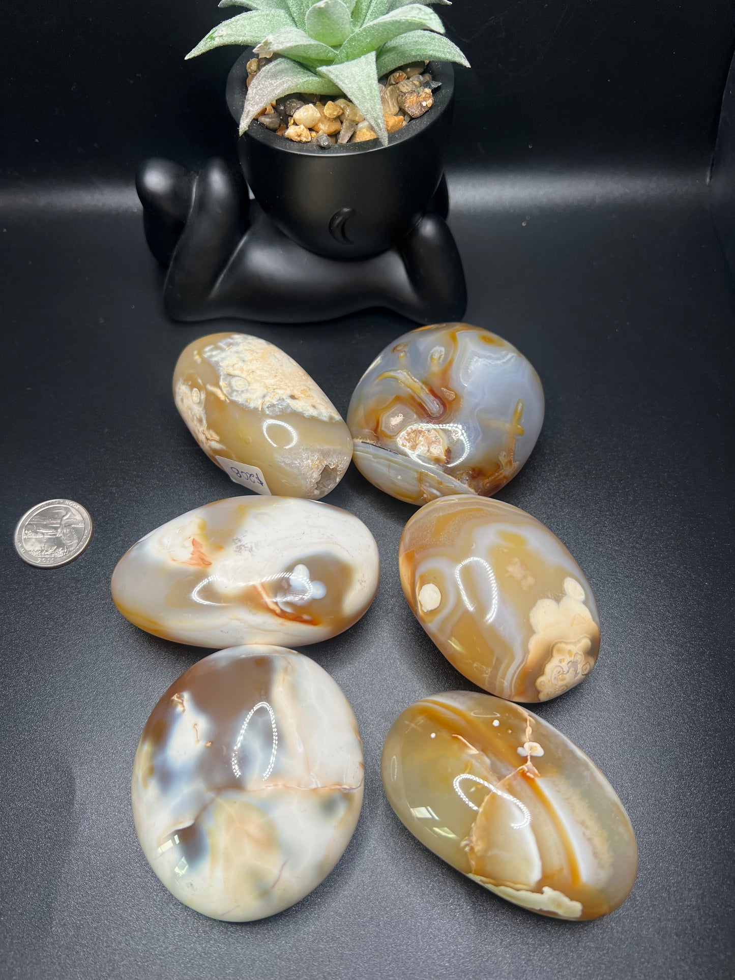 Agate Palm Stones