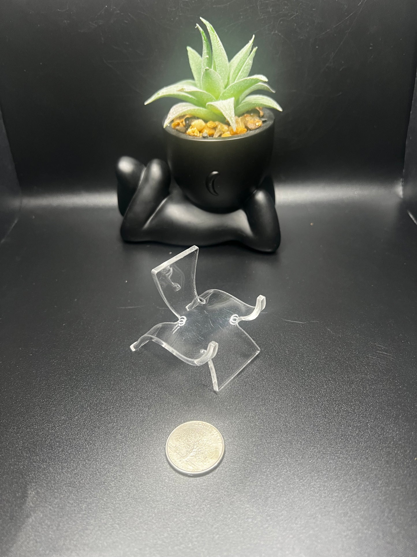 Specimen Stand
