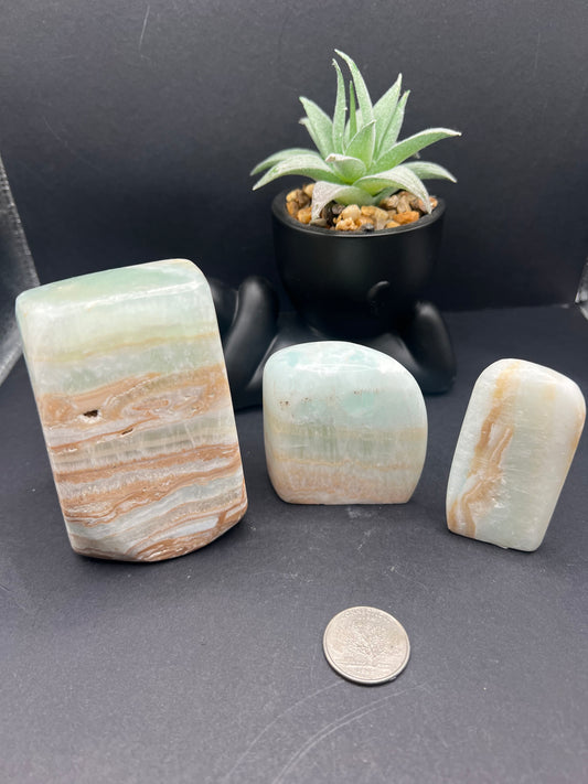 Caribbean Calcite Freeforms