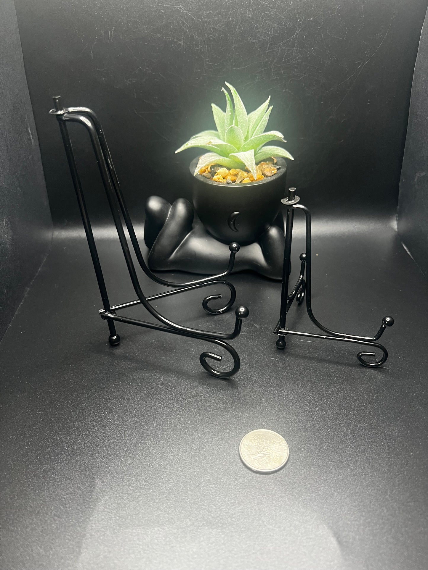 Specimen Stand