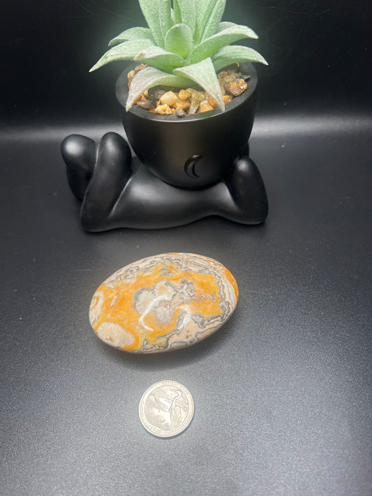 Orange Aragonite Palm Stone