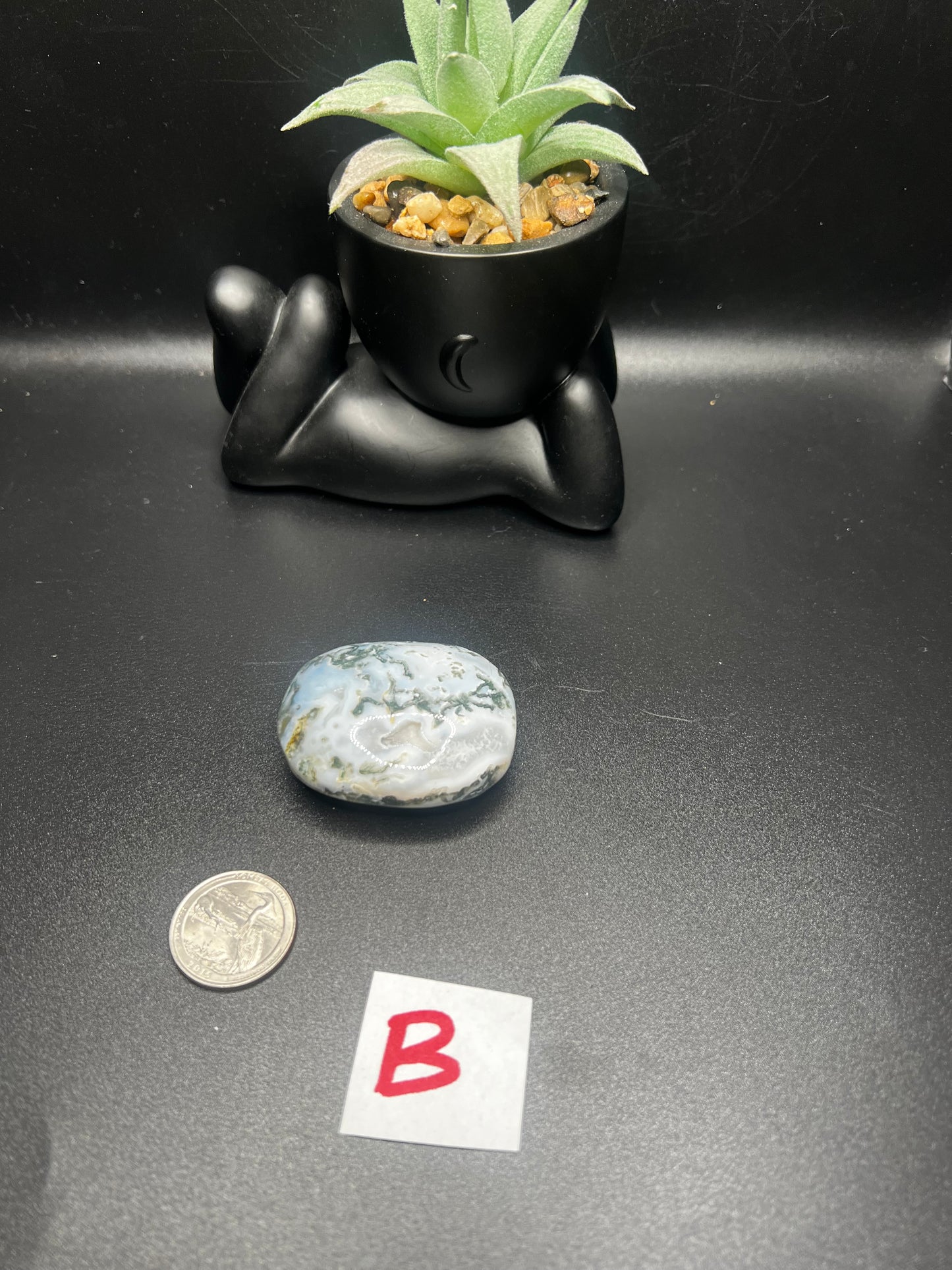 Moss Agate Palm Stones